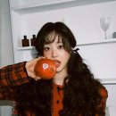 히피히피