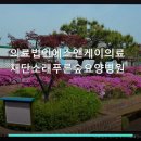 의료법인 에스앤케이의료재단 네이버블로그