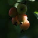 달빛마을 이미지