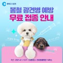 닥터각 동물병원 이미지