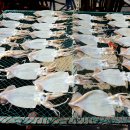 방어진건어물 이미지