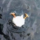 진정한의원 이미지