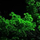 우솔한의원 이미지