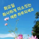 매곡천 자전거길 이미지