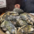 유명호프 | 인천 부평역 해산물에 소주마시기 좋은 빨간낙지 통영굴찜 호프에서 석화찜 먹은 후기