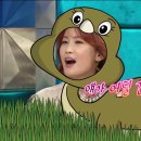 둘리스튜디오 이미지