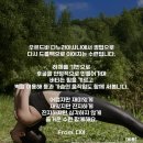 고양벤딩