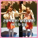 탐험대 | 인천 와일드벅스 곤충탐험대 후기｜월미도 실내박물관 동물체험 여기 하나로 끝