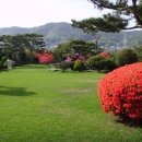 갈멜사슴농원 이미지