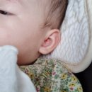 서이비인후과의원 이미지