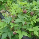 산청농장 이미지