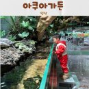 일산배수지 족구장 | 세계최대규모 수족관카페 “아쿠아가든” 일산카페 추천