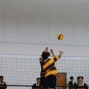 What an action-packed week of competitive volleyball in the Senior School 이미지