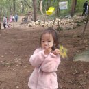 한독유치원 이미지