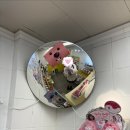 꽃품은 설기 | ☾⋆⁺₊⋆𝐴 𝑀𝑜𝑛𝑡ℎ𝑙𝑦 𝐷𝑖𝑎𝑟𝑦⋆₊⁺⋆☽ (26-01)