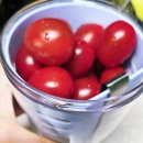 접시, 찻잔 등 실생활 도자기 제작 | 성남 분당 판교 고등동 소품샵 리빙샵 쥬빌리하우스 꿀템 후르츠팟 스텐 바스켓 후기