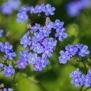 한울안중학교 이미지