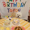 몽마르쉐 이미지