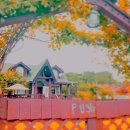 경주제일약국 이미지