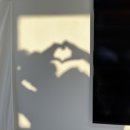 영진을 담다 이미지