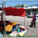 금진마트 이미지