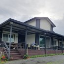 비취 블루베리 이미지