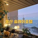 솔레이호텔 | 울산 솔레이호텔 네이처스톤 오션뷰 자쿠지 키즈 조식