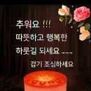 오늘도건강