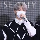슈가헤어 이미지