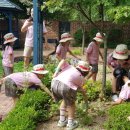 배곧새솔어린이집 이미지