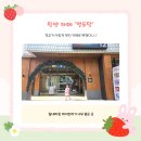 열두달봄 - 포항시 북구 양덕남로 137 | 반값여행/아이와 함께 가면 좋은 카페] 학교의 대변신! 사계절을 품은 밀양 대형 카페 '열두달' 솔직 후기
