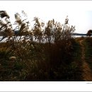 조암낚시터 이미지