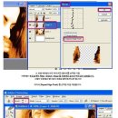 헤어보정# 이미지