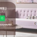 플러스현대공인중개사사무소 이미지