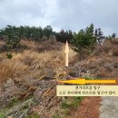 이두식 농장 | 제주 한림읍 갯거리오름(개꼬리오름)과 선소오름 후기! 산허리가 잘려서 두 개 오름으로 구분된 오름...