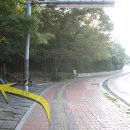 호랭이카 티스토리