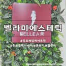 세븐일레븐 목포하당우미점 | 벨라미 신메뉴 RBL윤곽뱀부테라피로 목포리프링관리