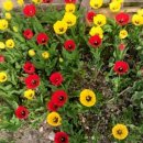 뿌리민박 이미지