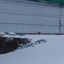 요룡농장 이미지