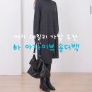 하아산 | 여자 가방 추천템 : 하아카이브 컨투어 숄더백 리얼 후기 (feat. 유튜버 해수 pick 가방)