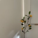 팜트리 빌리지 이미지