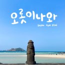 김녕오토바이상사 | [제주한달살기] 한달살기 D+3 ) 드디어 파란하늘을 봤어요! 버스타고 룰루랄라 뚜벅이여행 / 만춘서점...