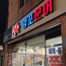 양포문어 이미지