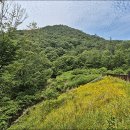동화공원 Daum카페