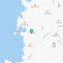 명월 | 우도 동굴보트 예약 팁 우도팔경 주간명월 후기(하우목동항 올레보트)
