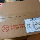 어버이날선물추천 숨비떼플레르 고급조화 용돈박스 내돈내산 대만족 구매후기