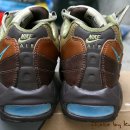 맥스애볼루션 이미지