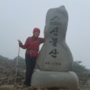 위양지 관광농원 이미지