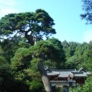 탑산농장2 이미지