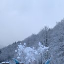 이도목장 이미지